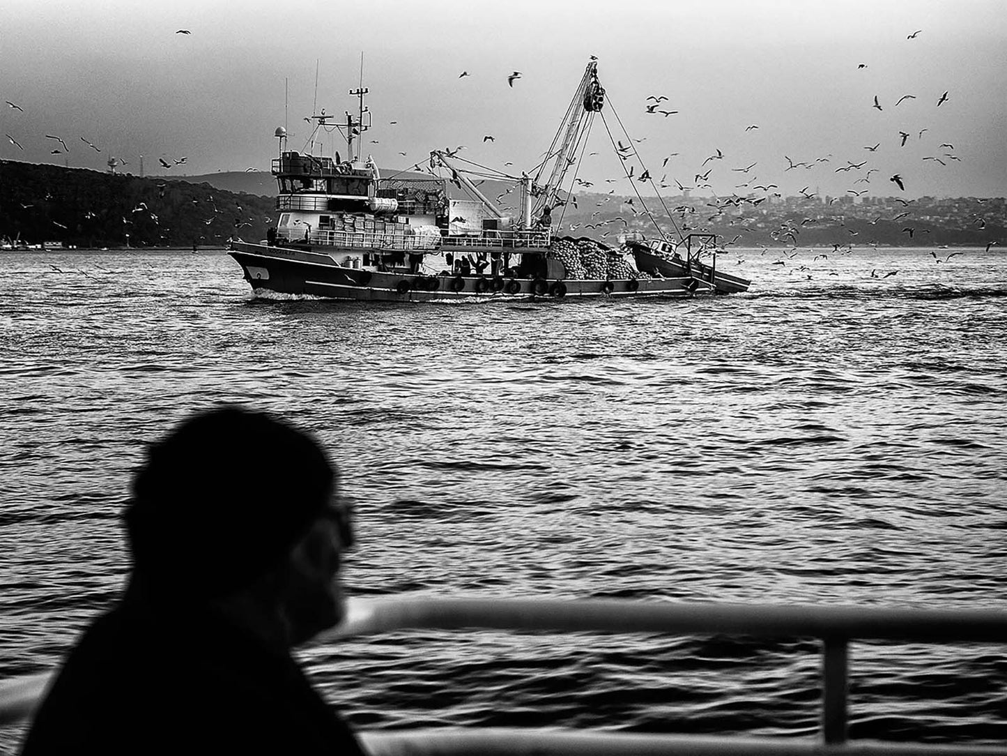 Sessiz Tanık / Silent Witness